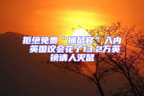 拒絕免費(fèi)“捕鼠官”入內(nèi) 英國議會花了13.2萬英鎊請人滅鼠