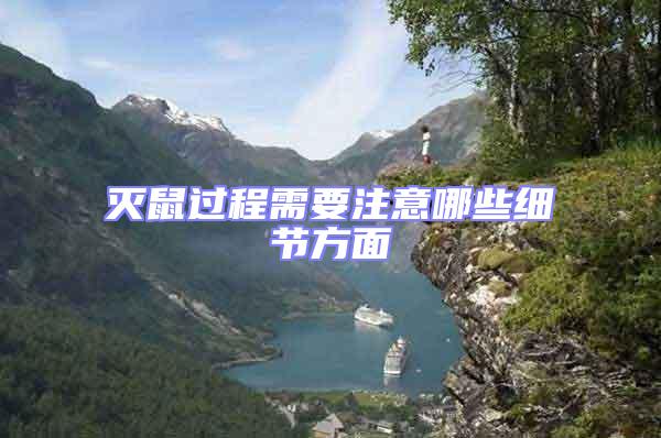 滅鼠過程需要注意哪些細(xì)節(jié)方面