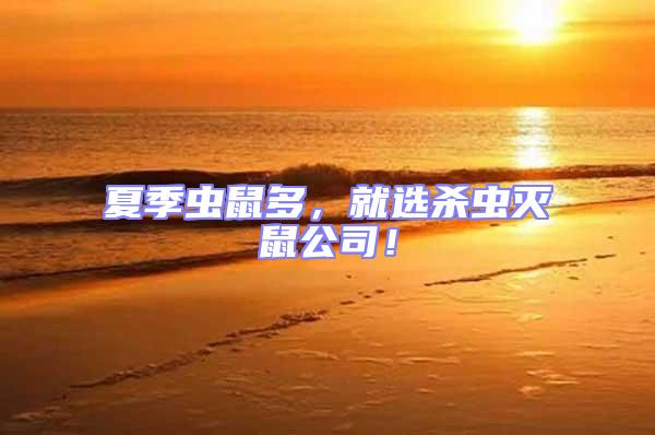 夏季蟲鼠多，就選殺蟲滅鼠公司！