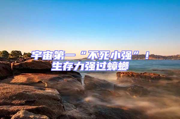 宇宙第一“不死小強(qiáng)”！生存力強(qiáng)過(guò)蟑螂