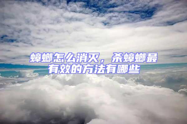 蟑螂怎么消滅，殺蟑螂最有效的方法有哪些