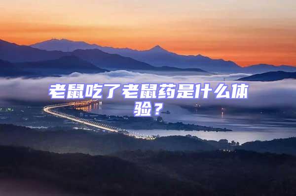 老鼠吃了老鼠藥是什么體驗？