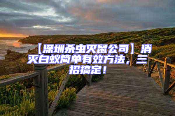 【深圳殺蟲滅鼠公司】消滅白蟻簡單有效方法，三招搞定！