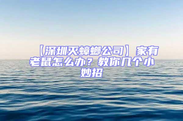 【深圳滅蟑螂公司】家有老鼠怎么辦？教你幾個(gè)小妙招