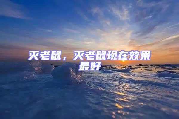 滅老鼠，滅老鼠現(xiàn)在效果最好