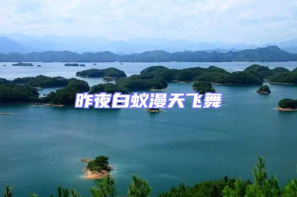 昨夜白蟻漫天飛舞