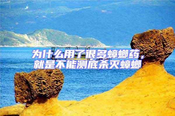 為什么用了很多蟑螂藥，就是不能測底殺滅蟑螂