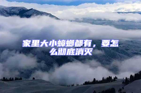 家里大小蟑螂都有，要怎么徹底消滅