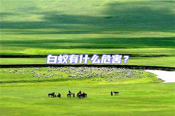 白蟻有什么危害？