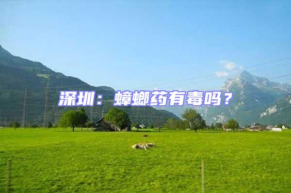 深圳：蟑螂藥有毒嗎？