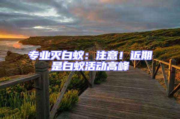 專業(yè)滅白蟻：注意！近期是白蟻活動高峰