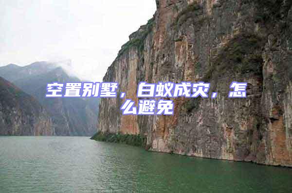 空置別墅，白蟻成災(zāi)，怎么避免