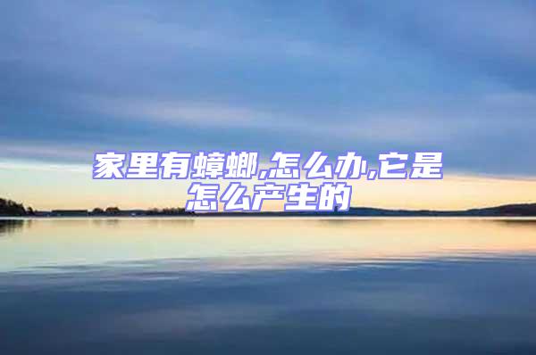 家里有蟑螂,怎么辦,它是怎么產(chǎn)生的