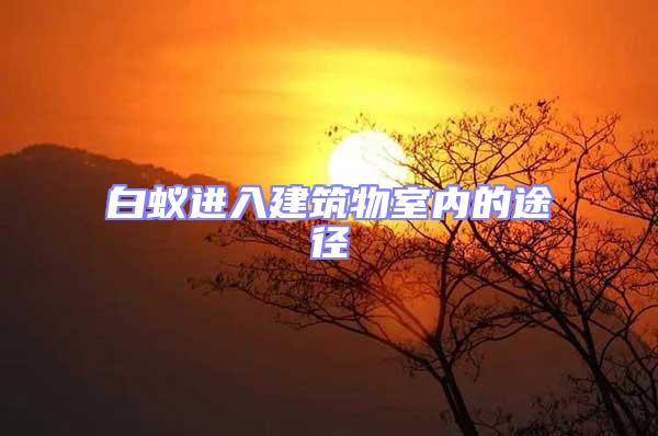 白蟻進(jìn)入建筑物室內(nèi)的途徑