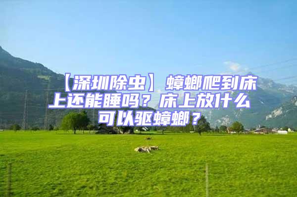 【深圳除蟲(chóng)】蟑螂爬到床上還能睡嗎？床上放什么可以驅(qū)蟑螂？