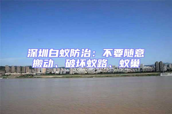 深圳白蟻防治：不要隨意搬動、破壞蟻路、蟻巢