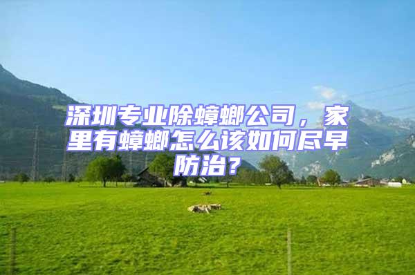 深圳專業(yè)除蟑螂公司，家里有蟑螂怎么該如何盡早防治？