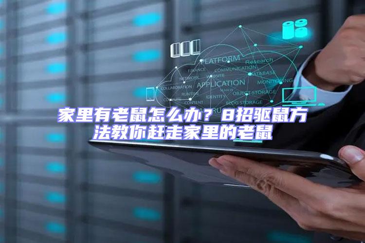 家里有老鼠怎么辦？8招驅(qū)鼠方法教你趕走家里的老鼠