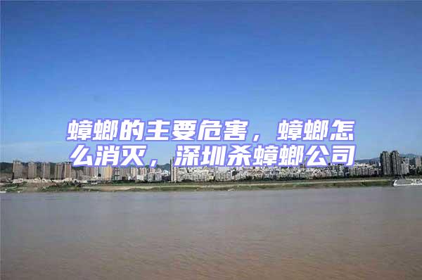 蟑螂的主要危害，蟑螂怎么消滅，深圳殺蟑螂公司