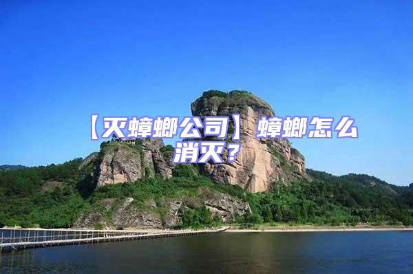 【滅蟑螂公司】蟑螂怎么消滅？