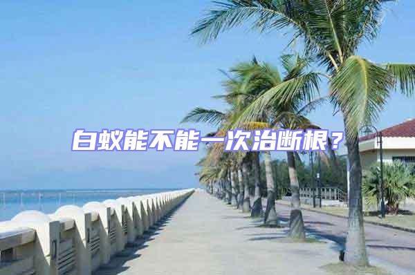 白蟻能不能一次治斷根？