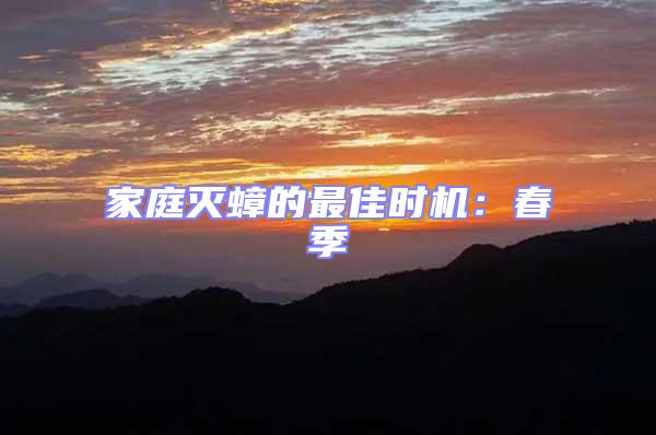 家庭滅蟑的最佳時(shí)機(jī)：春季