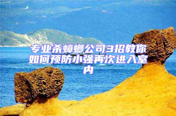 專業(yè)殺蟑螂公司3招教你如何預(yù)防小強(qiáng)再次進(jìn)入室內(nèi)