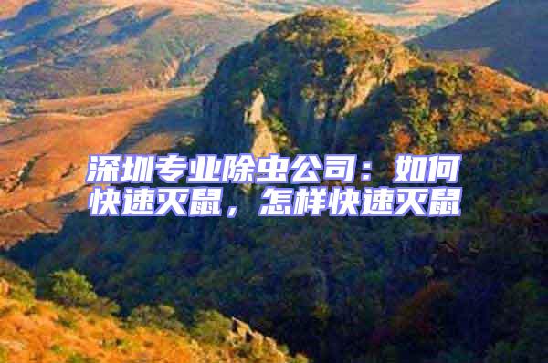 深圳專業(yè)除蟲公司：如何快速滅鼠，怎樣快速滅鼠