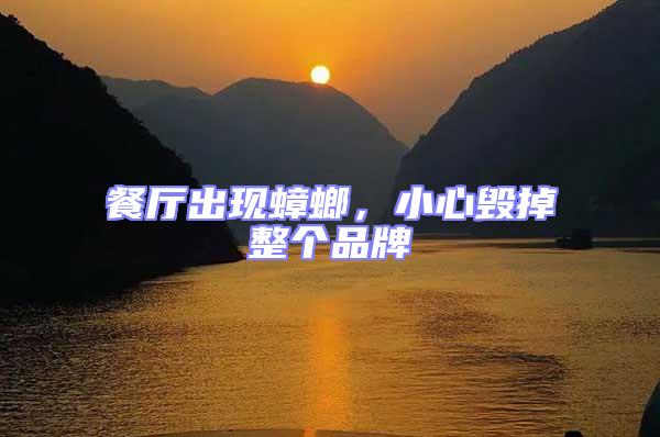 餐廳出現(xiàn)蟑螂，小心毀掉整個(gè)品牌