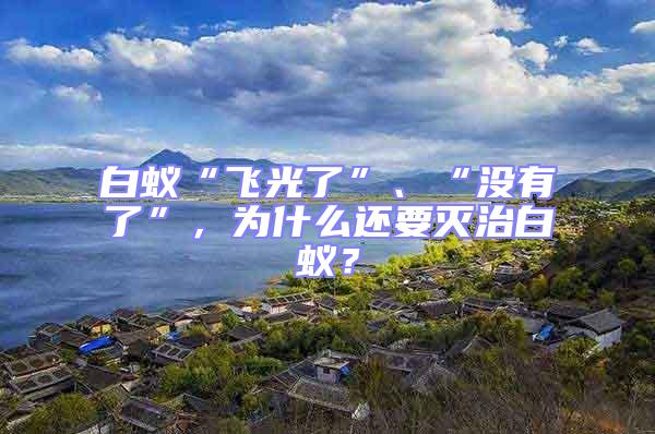 白蟻“飛光了”、“沒有了”，為什么還要滅治白蟻？
