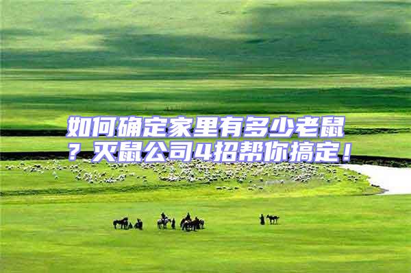 如何確定家里有多少老鼠？滅鼠公司4招幫你搞定！