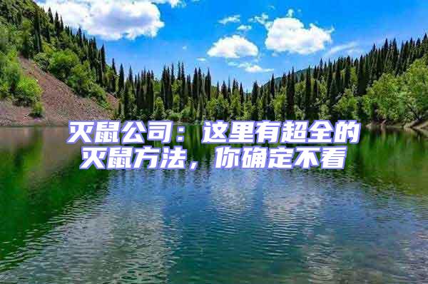 滅鼠公司：這里有超全的滅鼠方法，你確定不看