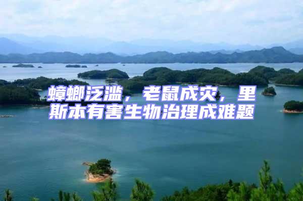 蟑螂泛濫，老鼠成災(zāi)，里斯本有害生物治理成難題