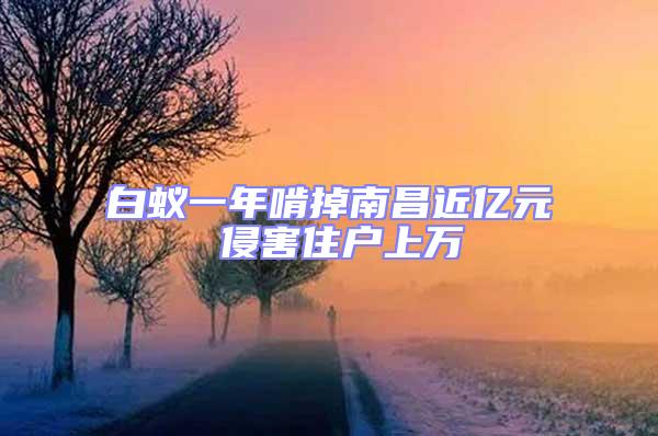 白蟻一年啃掉南昌近億元 侵害住戶上萬(wàn)