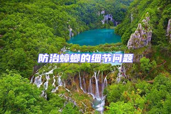 防治蟑螂的細節(jié)問題