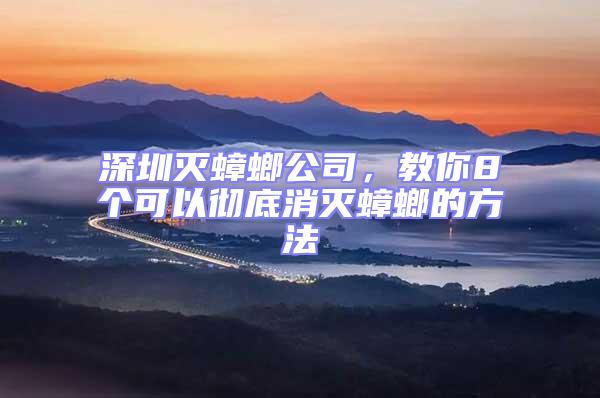 深圳滅蟑螂公司，教你8個可以徹底消滅蟑螂的方法