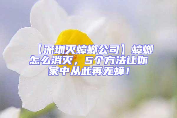【深圳滅蟑螂公司】蟑螂怎么消滅，5個方法讓你家中從此再無蟑！