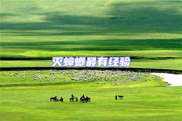 滅蟑螂最有經(jīng)驗