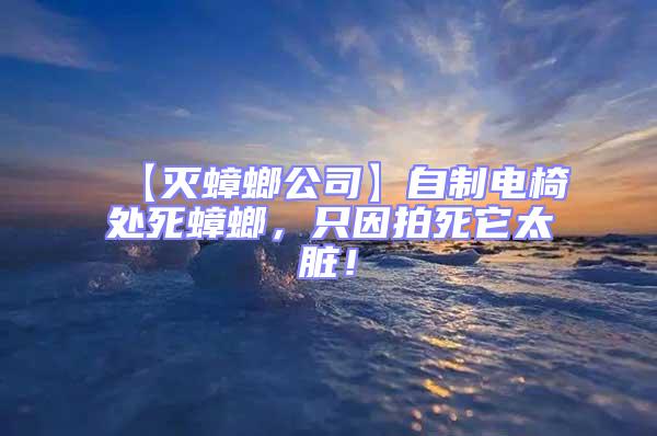 【滅蟑螂公司】自制電椅處死蟑螂，只因拍死它太臟！