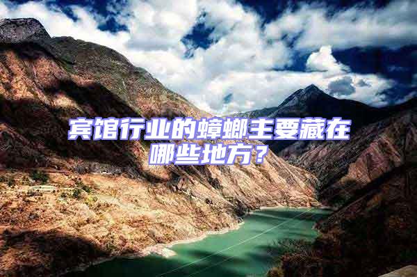 賓館行業(yè)的蟑螂主要藏在哪些地方？
