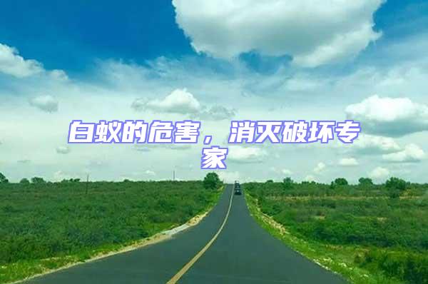 白蟻的危害，消滅破壞專(zhuān)家