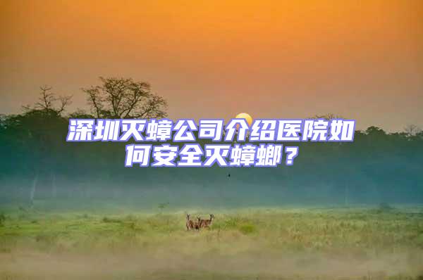深圳滅蟑公司介紹醫(yī)院如何安全滅蟑螂？