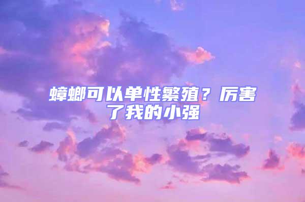 蟑螂可以單性繁殖?厲害了我的小強(qiáng)