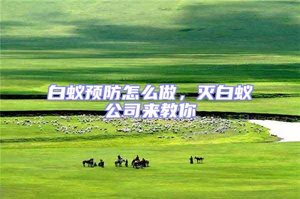 白蟻預(yù)防怎么做，滅白蟻公司來教你