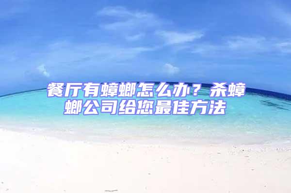 餐廳有蟑螂怎么辦？殺蟑螂公司給您最佳方法