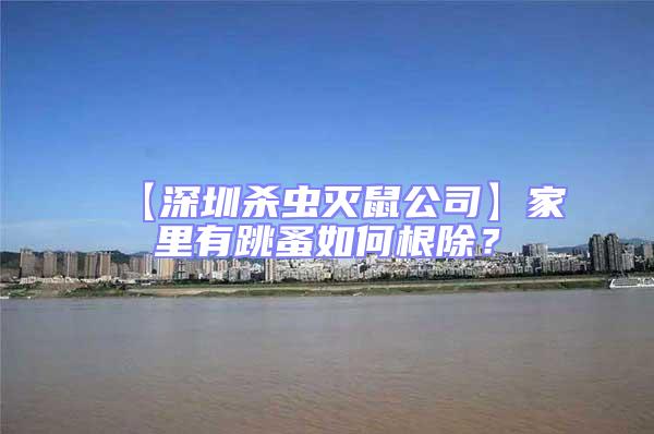 【深圳殺蟲滅鼠公司】家里有跳蚤如何根除？