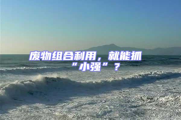 廢物組合利用，就能抓“小強”？