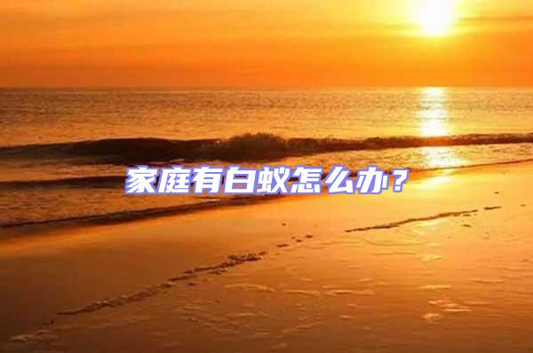 家庭有白蟻怎么辦?