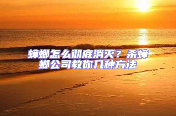 蟑螂怎么徹底消滅？殺蟑螂公司教你幾種方法