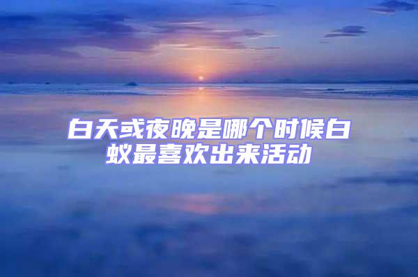 白天或夜晚是哪個(gè)時(shí)候白蟻?zhàn)钕矚g出來活動(dòng)